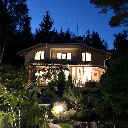 Luxury Villa Borina Zheleznitsa Exterior foto