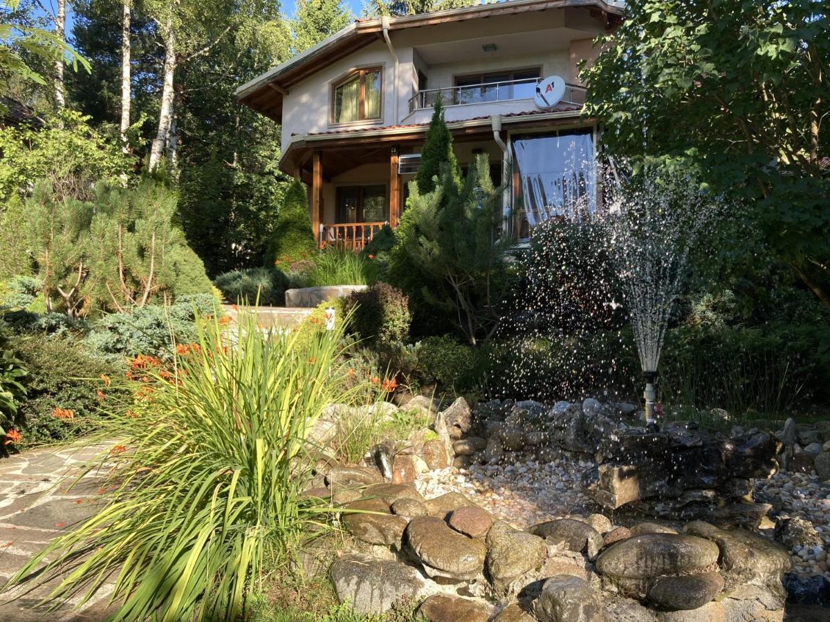Luxury Villa Borina Zheleznitsa Exterior foto